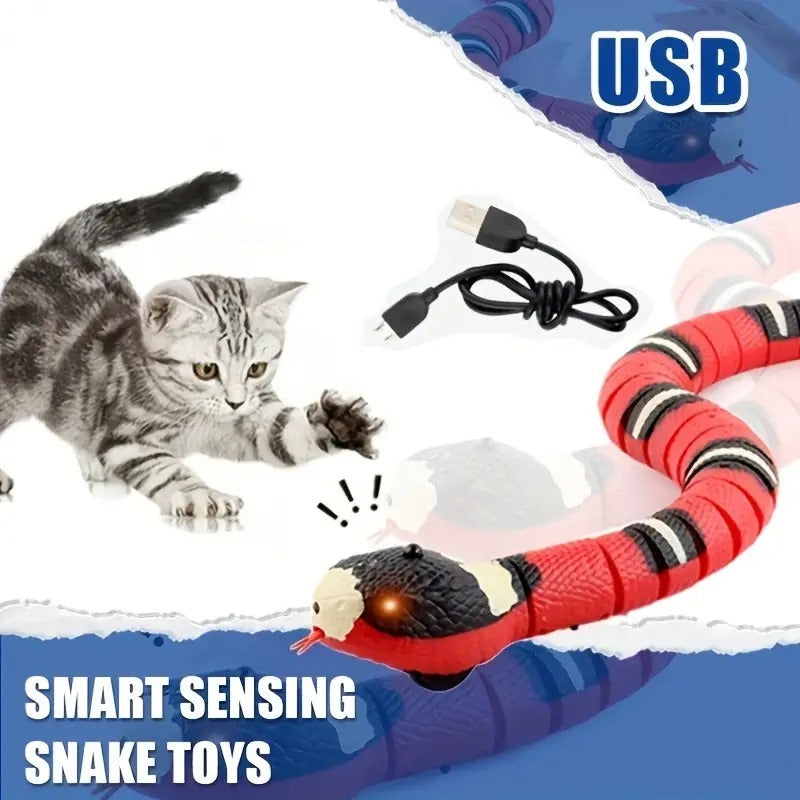Interactive Snake Toy
