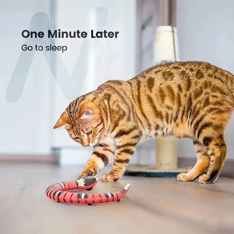 Interactive Snake Toy