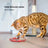 Interactive Snake Toy