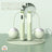 Smart Weighted Jump Rope with Electronic Counter